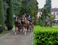 DSC 8378.JPG