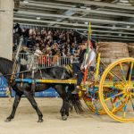 GIA-FIERACAVALLI-2025 800