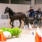 gia-fieracavalli-2025 400 10